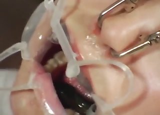 Japanese chick forcibly swallows eels