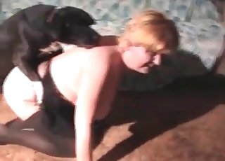 Sexy lady and her cute small dog
