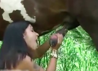 Crazy oral creampie by a stallion