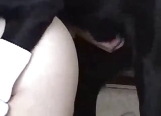 Black dog gets her slot utterly and fully banged hard