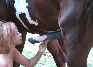 Big-dicked horse gets a ionate handjob