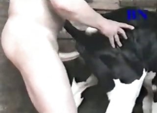 His big cock is perfect for that animal