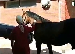 Cute jockey helps her horse to fuck right